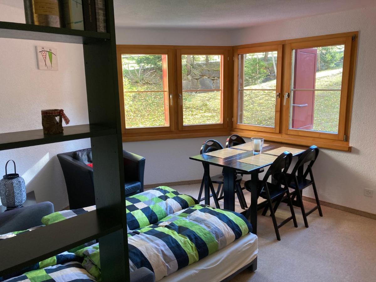 Casa Selva 2000 Fl Whg Nr 2 Apartment Лензерхайде Екстериор снимка